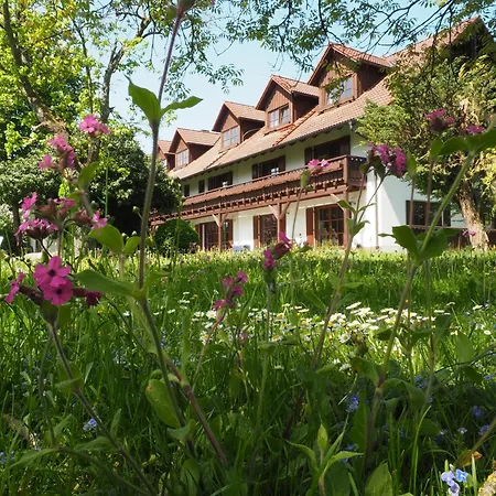 Pension Aufeld-2