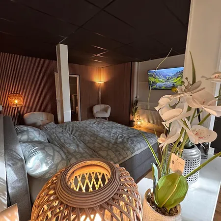 Stylisch Apartments Schanskerhof All With Private Kitchens - Tv All Country - Indoor Sauna - Next To Thermen Bad Nieuweschans-3