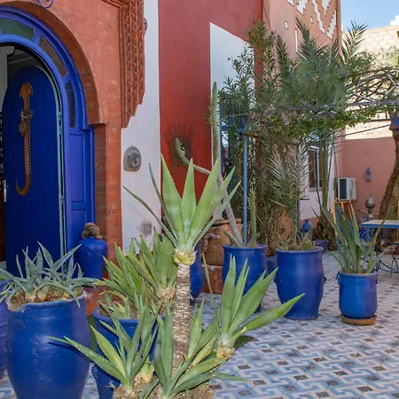 Le Petit Riad Maison d'hôtes-2