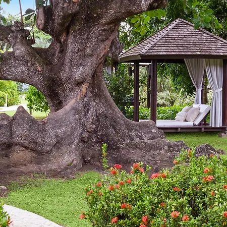 Sandals Halcyon Beach All Inclusive Adults Only-3