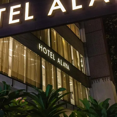 Hotel Alaya-2