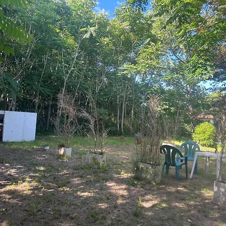 Claro de Luna 2-3