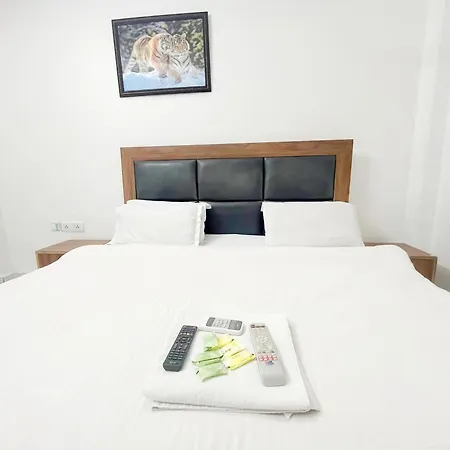 Hotel Green Valley - Nizamuddin Railway Station-3