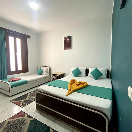 Octopus Hotel-2
