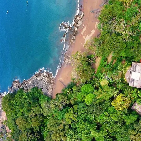 Copa De Arbol Beach & Rainforest Resort-3