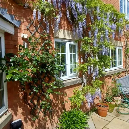 Harlequin B&B Ledbury-2
