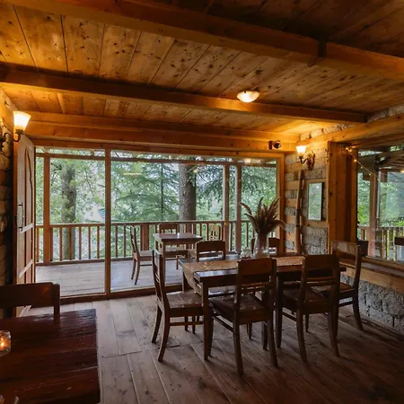 Kudrat - A Boutique Homestay- Tirthan Valley-2