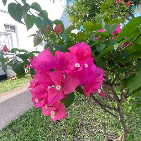 Beverley'S Guest House, Nevis-3