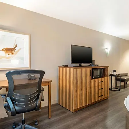 Best Western Cedar Inn & Suites-3