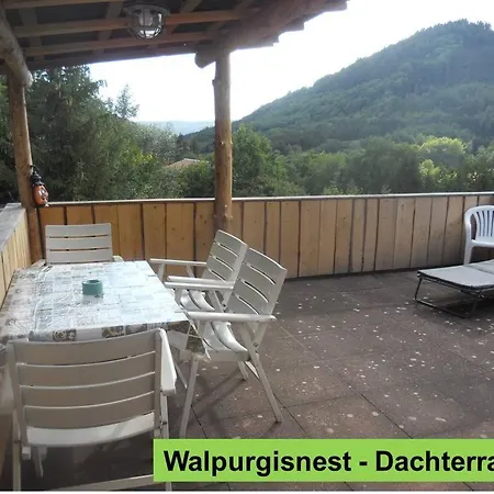 Waldnest Odenwald-3