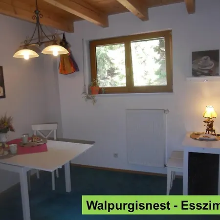 Waldnest Odenwald-2