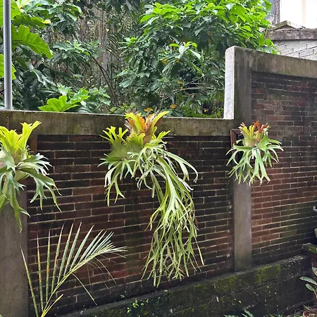 Adi Jaya Cottages Ubud Suites By Eps - Chse Certified-3