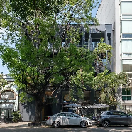 Boga Mexico City By Lumina-3