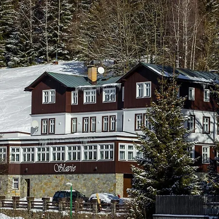 Hotel Slavie-3