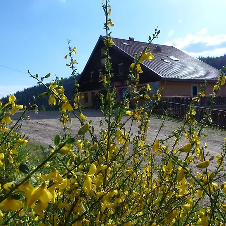 Auberge Des Hauts Viaux-2