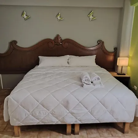 Cabo Tortuga Hotel Boutique-3
