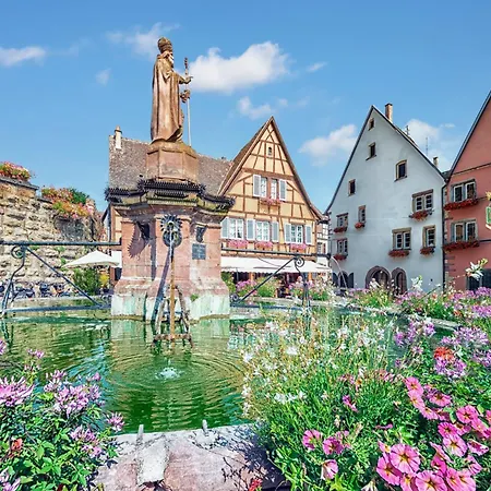 Hotel Colmar Vignes Eguisheim-3