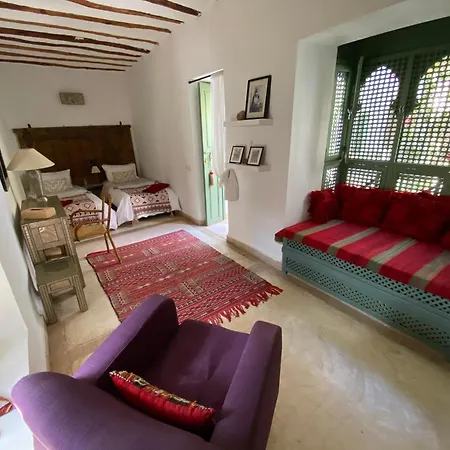Riad Timila-3