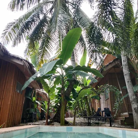 Ecostay Panglao Resort Hotel-2
