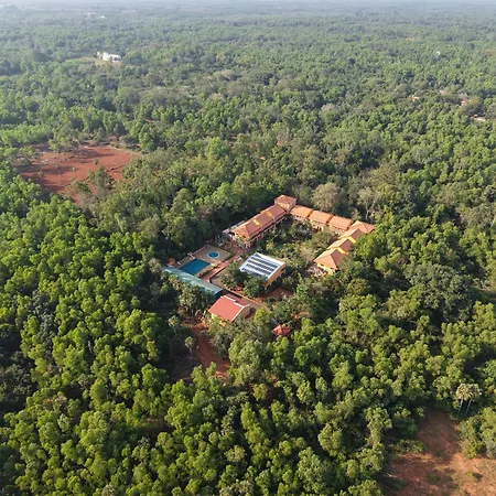 Auro Wellness Castle-2