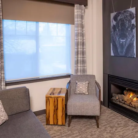 Homewood Suites By Hilton Jackson-3