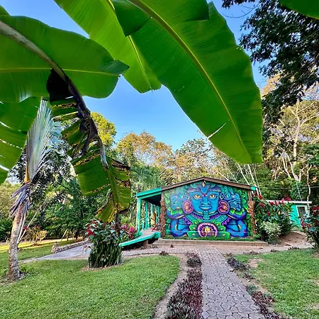 Bocawina Rainforest Resort-3