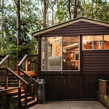 Kondalilla Eco Resort-2