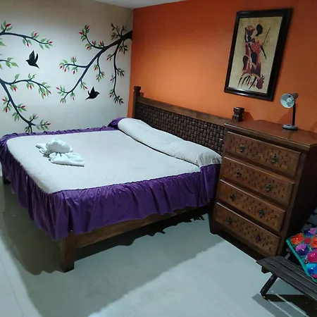 Hotel Amayal-3