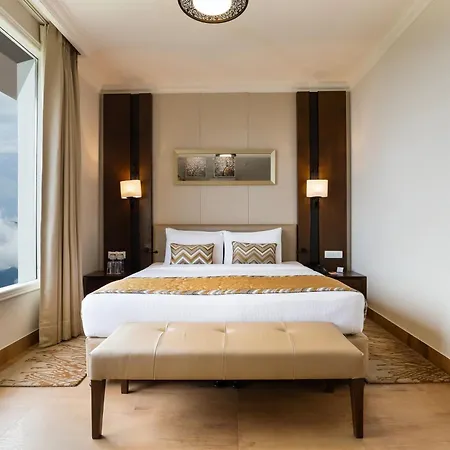 Regenta Resort & Spa Mashobra-3