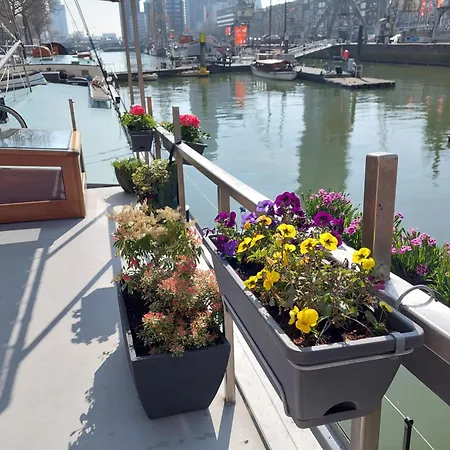 Boat Rooms On Water B&B-2