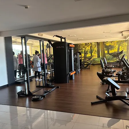Araucária Flat-2