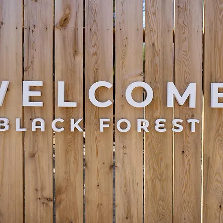 Black Forest Cabins-3