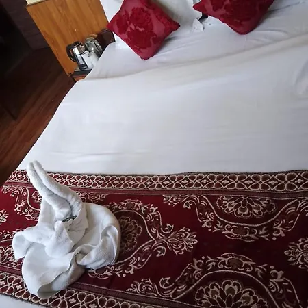 Hotel Saha Residency-3