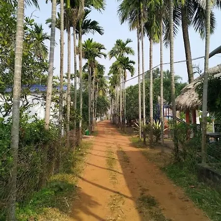 Abasar Resort, Tajpur-3