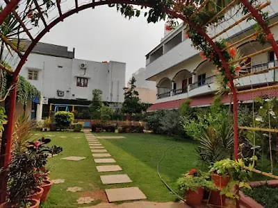 Golden Nest-2