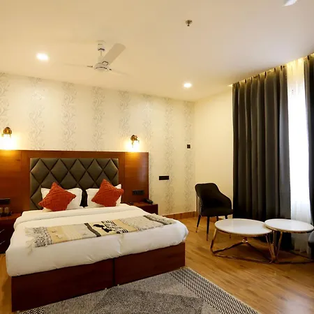 Hotel Dhingra Inn-2