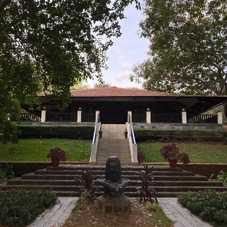 Silent Hills Resort-2