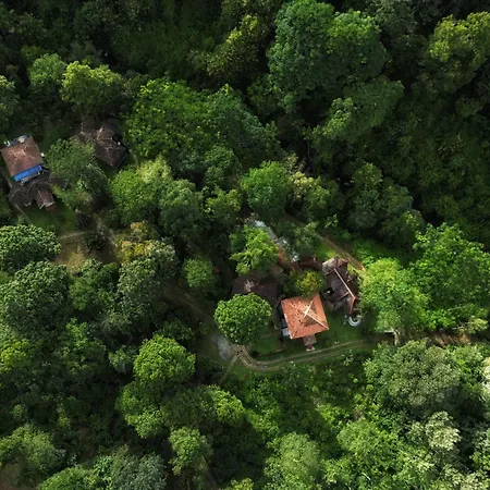 Mahout Resort Wayanad - An Experiential Jungle Stay With Waterfall-2