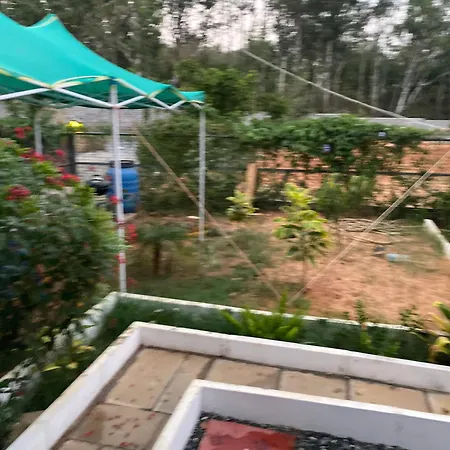 Silverlinecloudcottage-3