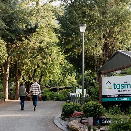 Big4 Tasman Holiday Parks - Bright-2