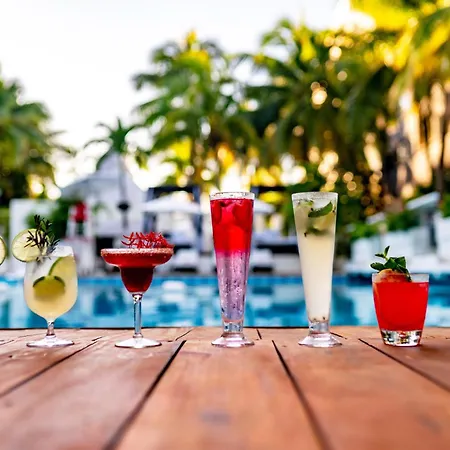 Oh! Cancun - The Urban Oasis & Beach Club (Adults Only)-2