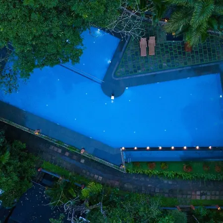 Wayanad Silverwoods Forest Resort & Spa-2