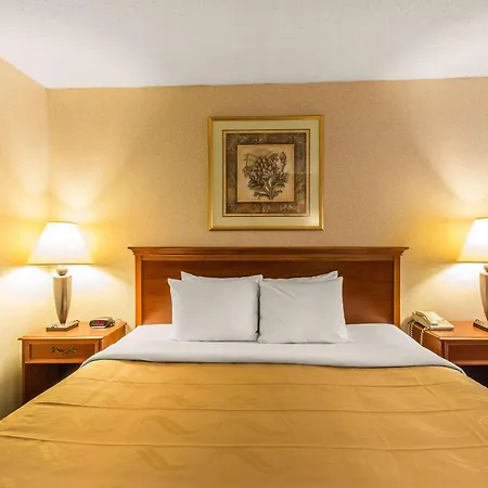 Quality Inn & Suites Mcdonough South I-75-2
