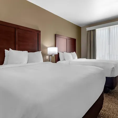 Comfort Suites Plano - Dallas North-3