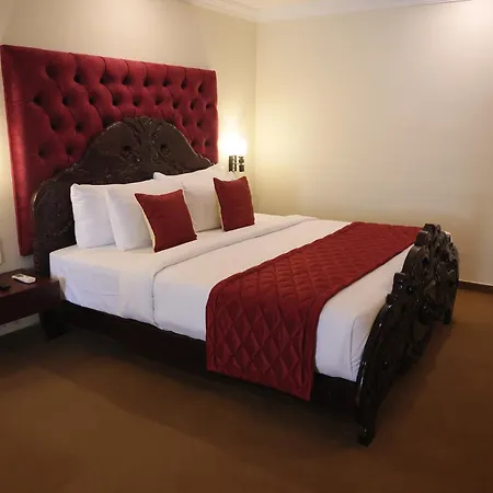 The Hotel Raja Palace-3