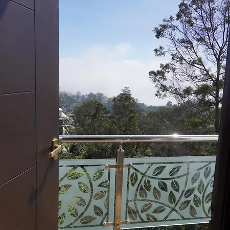 Kodai Drizzle-2