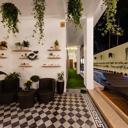 Dkd Trio Hotel-2