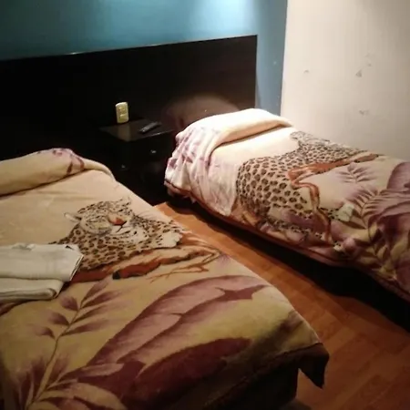 Hotel Tredi-3
