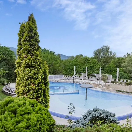 Thermal Hotel Visegrad-3