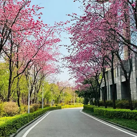 Intercontinental Kunming By Ihg-2